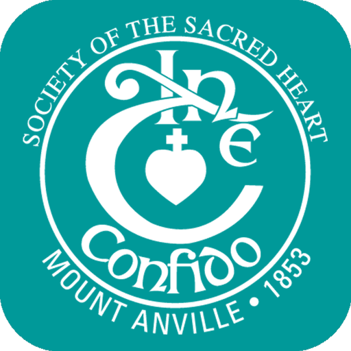 Mount Anville Secondary School logo